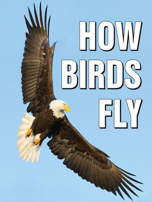 cover image of How Birds Fly